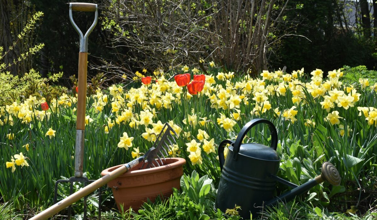 Nářadí pro jarní úklid zahrady