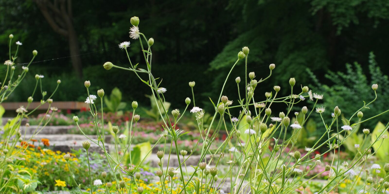 Permakultura pro začátečníky: principy v praxi