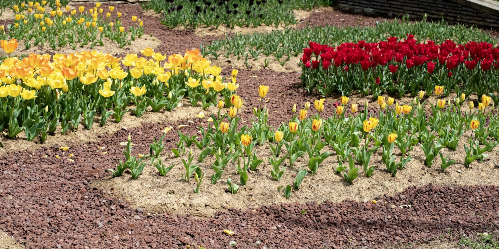 Jarní proměna zahrady: 12 tipů pro krásnější a zdravější prostor