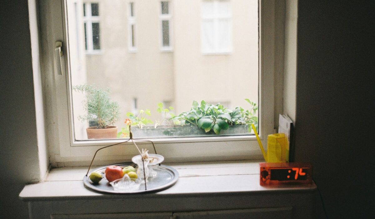 Čerstvé bylinky na parapetu