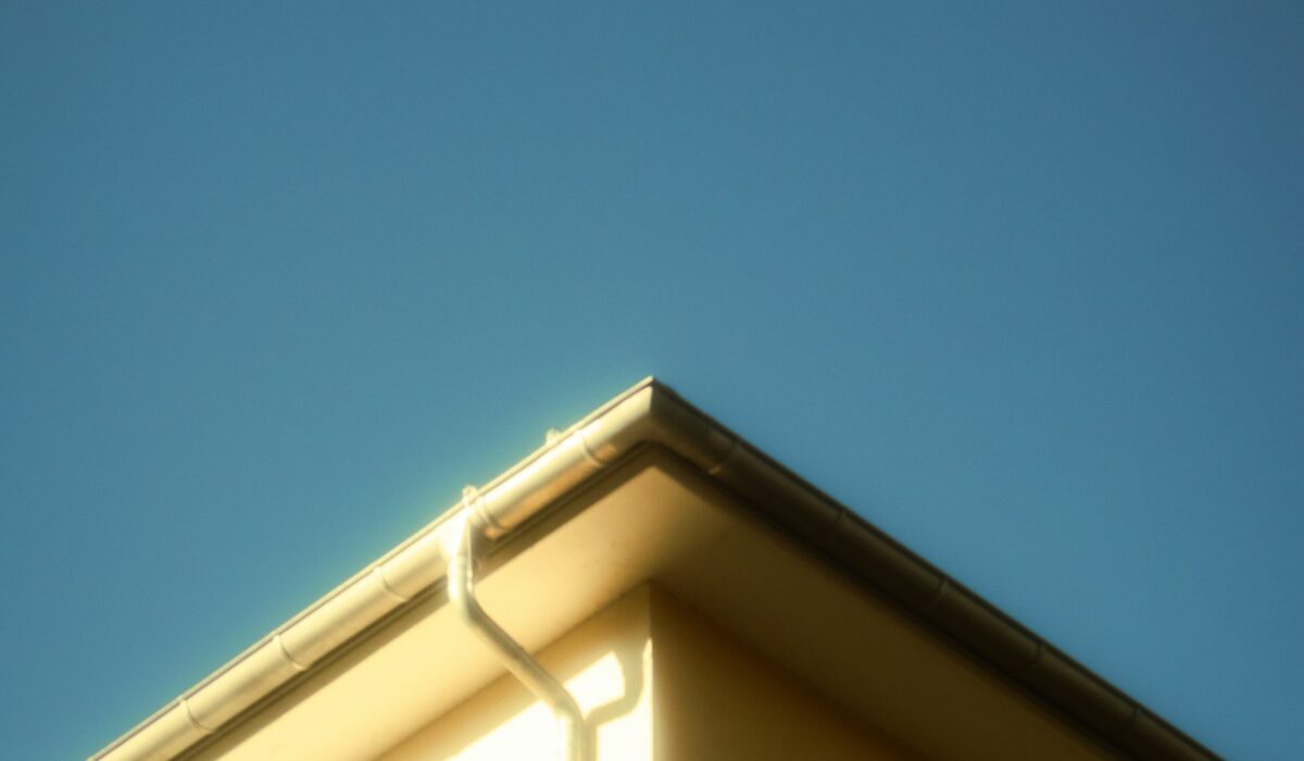 Přírodní čistící prostředky