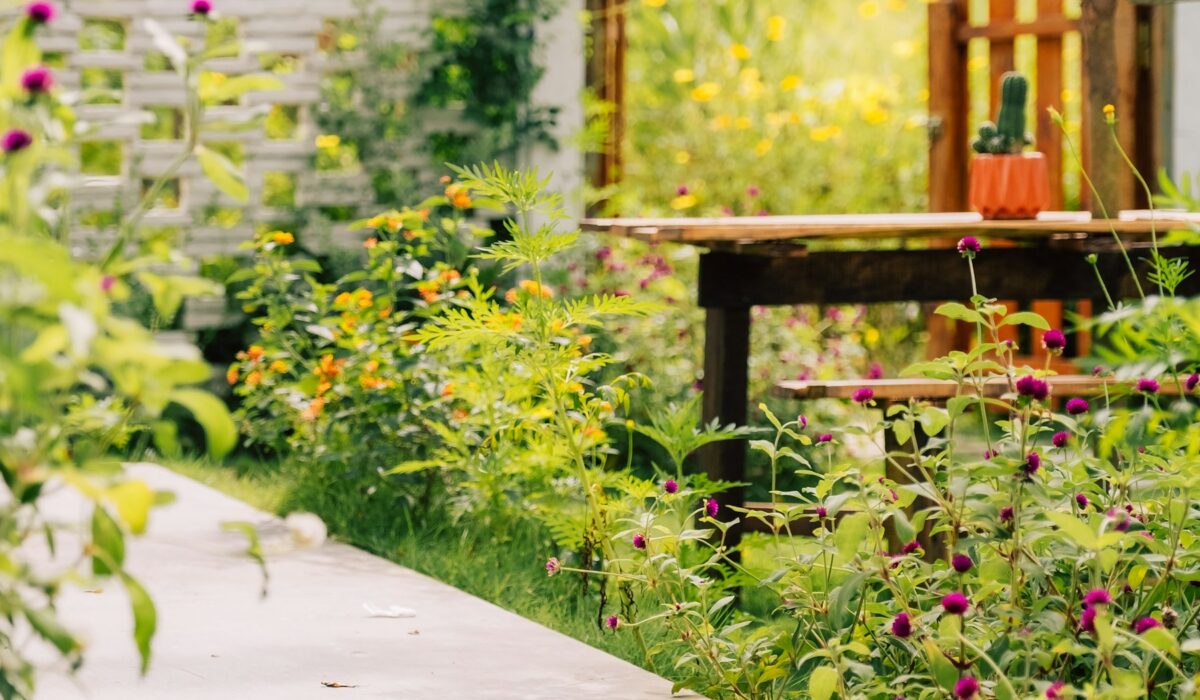 Jedlý les na zahradě